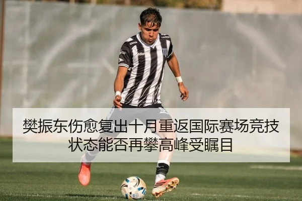 樊振东伤愈复出十月重返国际赛场竞技状态能否再攀高峰受瞩目